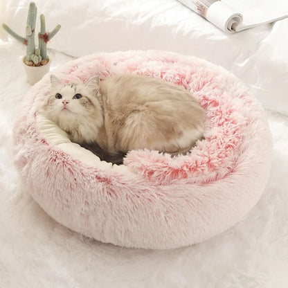 My Paws Pick Cozy Plush Cat Bed – Paw-Picked for Kittens & Cats!